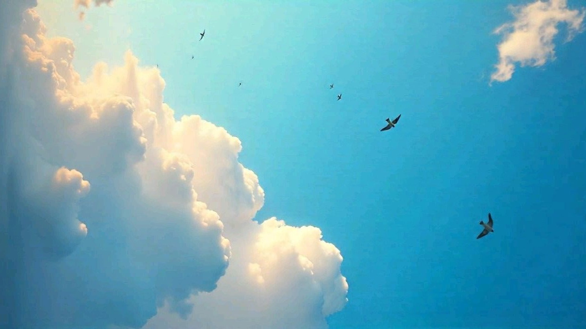 Blue sky with clouds and birds